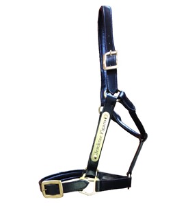 Licol pour cheval en PVC, imperméable et résistant |   Collier de tête réglable avec des attaches métalliques et des attaches en acier inoxydable - Product Image 4