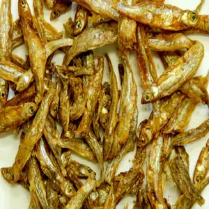 الصين مصنع حار بيع وجبة الحشرات بدلاً من وجبة السمك