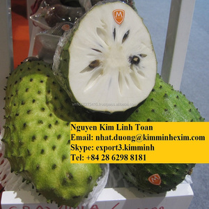 เกรด A สีเขียวสด Graviola ผลไม้ที่มีราคาถูก - Product Image 5