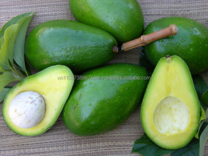 Suministro de aguacate fresco, alta calidad, de Vietnam en 2020 - Product Image 5