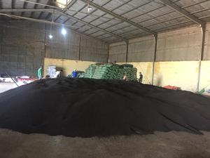 Hierba de pimienta negra de alta calidad, especias crudas secas 500GL 550GL 570GL 600GL en forma de polvo redondo, cáscara de semilla de sabor picante y caliente incluida - Product Image 5