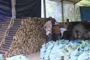 SCIURE DE BOIS DUR BOIS BRIQUETTE/PAS CHER PRIX EN VRAC - Product Image 5
