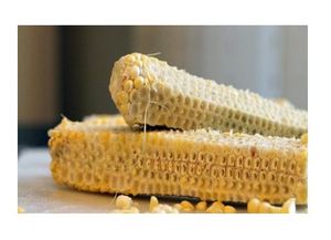 PROVEEDOR DE MAÍZ MOLIDO DE ALTA CALIDAD DE VIETNAM - Product Image 6