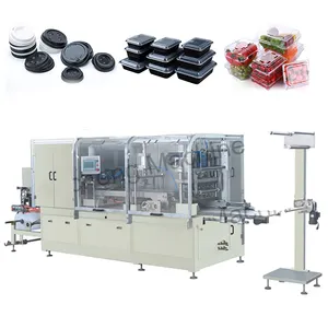 Automatische cups/dozen/platen/containers Plastic Thermovormen machine