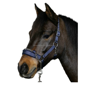Shemax 2023 calidad superior Venta caliente equitación personalizada al por mayor 3 en 1 Control Headcollar Halter con cadena integral - Product Image 1