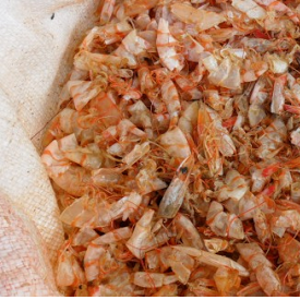 ขายผงเปลือกกุ้งขนาดใหญ่ที่มีหัว/ราคาถูก/ไคโตซาน/Chitin/อาหารปลาฟีด Checken/อาหารสัตว์ - Product Image 5