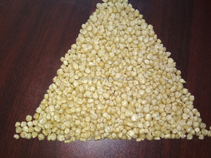 ข้าวโพดสีขาวเกรดไม่ใช่ GMO ข้าวโพดสีขาวสำหรับอาหารสัตว์ - Product Image 5