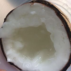 Makapuno Noix de coco/Macapuno/Noix de coco Makapuno - Product Image 4