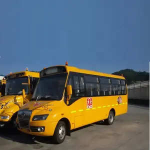 Dijual Bus Sekolah Tua EQ6530S4D Internasional