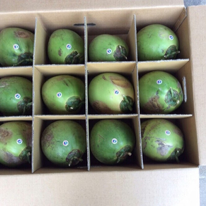 Coco fresco-100% natural en VietNam - Product Image 4