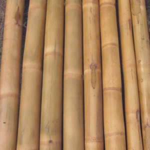 Precio más bajo postes de bambú para jardinería y caña de pescar - Product Image 4