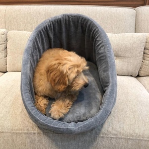 Lits de luxe en velours doux pour animaux de compagnie avec coussin détachable chauds et confortables pour chats et chiens fabriqués au Vietnam - Product Image 2