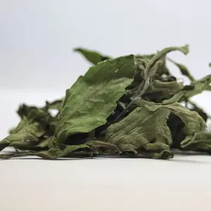 Folha de doce/stevia rabaudiana seca de viet namão