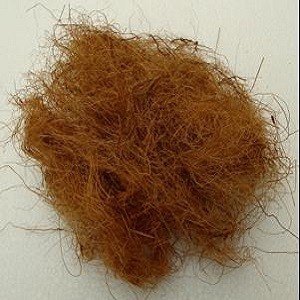 Fibre de noix de coco de haute qualité avec une nouvelle récolte - Product Image 4