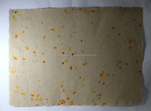 <span class=keywords><strong>80</strong></span> <span class=keywords><strong>GSM</strong></span> màu ngà có thể tái chế handmade vườn cánh hoa gói giấy cuộn cho gói quà bưu kiện đóng gói nghệ thuật & thủ công - Product Image 2