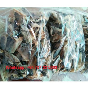 Offre Spéciale PEAU DE CHAT EN VRAC QUALITÉ MEILLEUR PRIX - Product Image 5