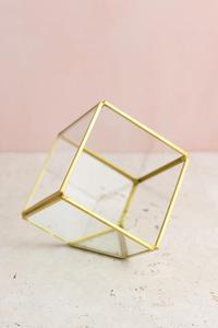 Terrario de vidrio chapado en oro Electro para plantas - Product Image 2