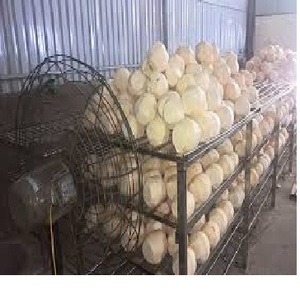 Vacances NATURELLES EN FORME DE DIAMANTS - Product Image 4