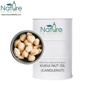 Kukui Nut Oil-Óleo Kukui Óleo | Óleo de Nogueira | Candleberry-100% Puro e Natural de Óleos Essenciais-preço A Granel por atacado