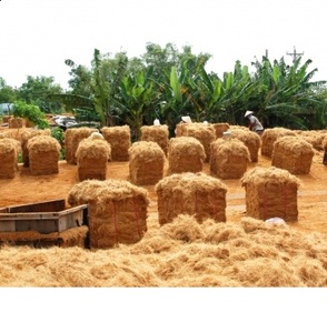 Fibre de noix de coco - Product Image 1