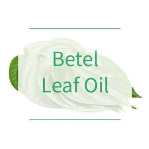 Huile essentielle de feuille de bétel de qualité aromatique 100% pure, approuvée GMP/ISO, distillée à la vapeur, origine Inde, diffusion aromatique variée - Product Image 2