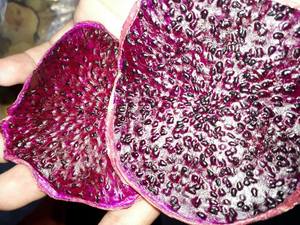 Fruta roja del Dragón seca de la mejor calidad al por mayor/producto especial de Vietnam a precio barato y nueva cosecha - Product Image 4