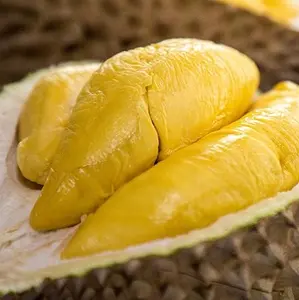 En iyi kalite ve fiyat Vietnam Durian/ whatsapp + 84 845 639 639