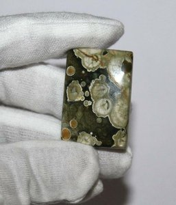 Cabochon de jaspe de forêt tropicale Rhyolite lisse Pierre précieuse naturelle en vrac pour la fabrication de bijoux - Product Image 3