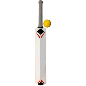 <b>CRICKET</b> <b>KIT</b> <b>for</b> <b>KIDS</b> PLAY and PROMOTIONAL USE - Product Image 3