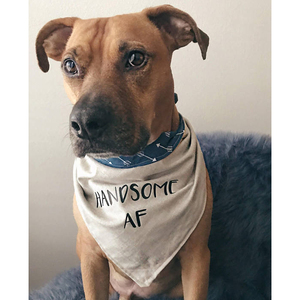 Vente en gros 100% coton Bandana pour chien doux et durable imprimé sur mesure avec un design solide taille réglable prix de fabrication plus populaire - Product Image 2