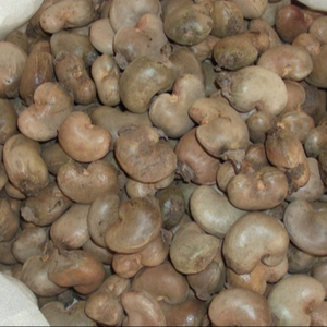 W320 High-Grade ISO Certified Roasted Organic Cashew Nuts Fresh <b>Vacuum</b> <b>Bag</b> Packaging. Pre-Order Now for 2021. - Product Image 3