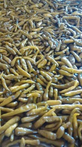 <b>PICKLED</b> GREEN CHILI/ SALTED GREEN CHILI PEPPER in 2020 - Product Image 5
