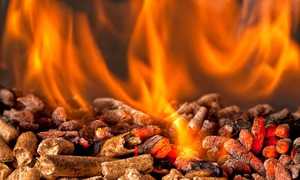 Briquettes de bois Biomasse de biocarburants à vendre - Product Image 3