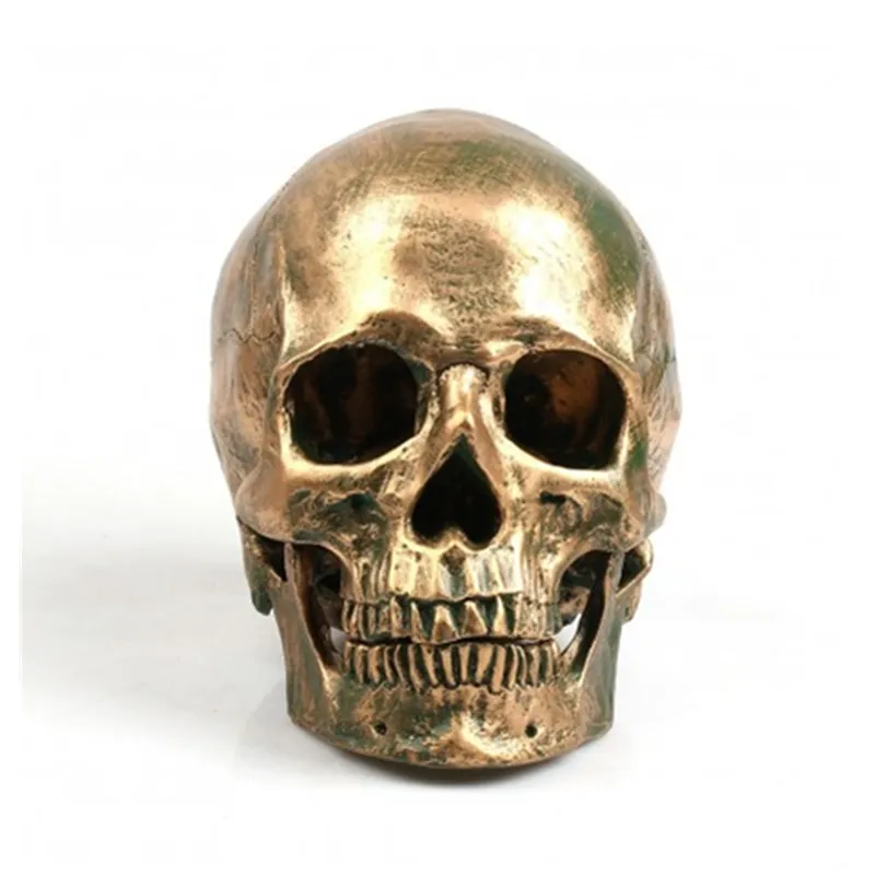 Resin Bronze Human Skull Model for Halloween Decor