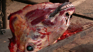 HALAL FROZEN BONE MARROW BUFFALO MEAT SMOKED BULK AVAILABLE for SALE at BEST PRICE - Product Image 2