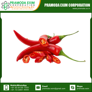 premium quality red chili whole 100% pure organic fresh red
