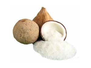 NOIX DE COCO DÉSHYDRATÉE DE GRADOIT MEDIUM SUCRÉE EN VENTE EN GROS EN POUDRE PROCÉDÉE PAR ADICTION - Product Image 6
