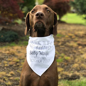 Bandana pour chien avec logo Bandanas pour animaux de compagnie en triangle de couleur unie imprimés en gros Bandana pour chien personnalisé pour petits et grands chiens - Product Image 2