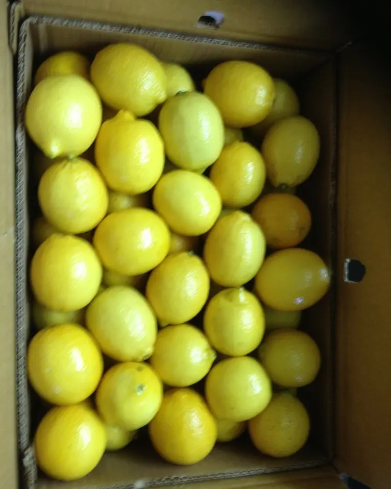 Eureka Limões frescos