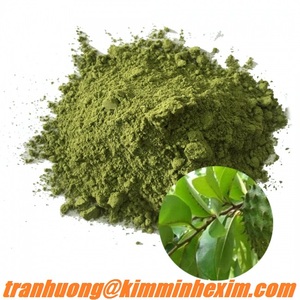 High Quality Natural Soursop Leaf Tea <b>Powder</b> and Extract Vietnam Herbal <b>Drink</b> for Wholesale - Product Image 2
