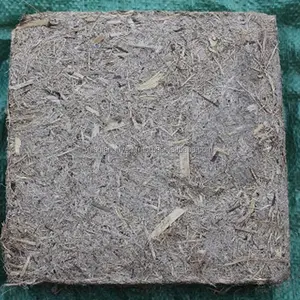 บริษัทเจียเจีย นกเยวิน จำกัด ผลิตพาเลทจากชานอ้อย และอาหารสัตว์แห้งอัดเม็ด ประหยัด คุณภาพดี สำหรับการเกษตร! - Product Image 1