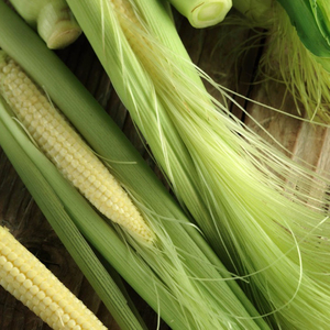 ข้าวโพดหวานดองกระป๋องในน้ำเกลือ เวียดนาม - Product Image 2