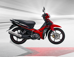 เกียร์มอเตอร์รอบ110cc ผลิตในเวียดนาม - Product Image 4