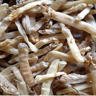 Dried sea worms offer/Whatsapp +84 845639639