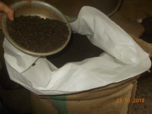 Best <b>Selling</b> Premium High Quality vietnam black pepper price top quality 0084339966582 - Product Image 6