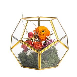 Terrario geométrico de vidrio dorado, maceta de decoración moderna para plantas de aire de helecho suculentas, balcón - Product Image 1