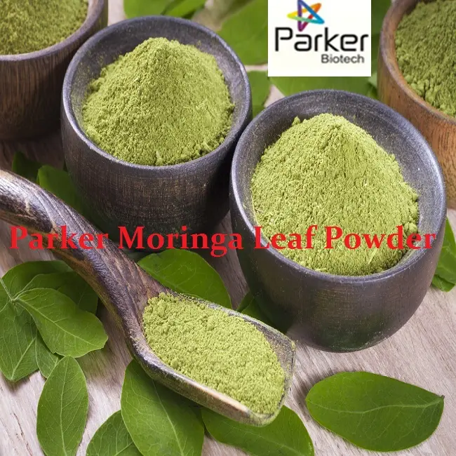 Saf en iyi organik moringa yaprağı tozu hindistan moringa oleifera tozu bitkisel toz