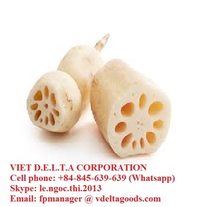 Raíz de Loto Orgánica Fresca Congelada de Vietnam, Procesada IQF - Product Image 2