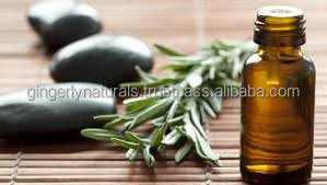 Aceite de Romero cultivado silvestre puro 100% de la India suministrado en botella o extracto de planta de envasado de tambor - Product Image 2