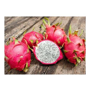 Fruit de Dragon frais-meilleur prix et qualité supérieure - Product Image 1